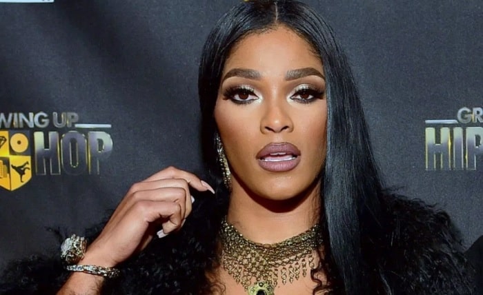 Joseline Hernandez Plastic Surgeries and Tattoos 